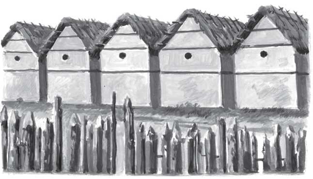 Иллюстрация к книге — Пожар Саниры [i_009.jpg]