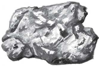 Иллюстрация к книге — Пожар Саниры [i_017.jpg]