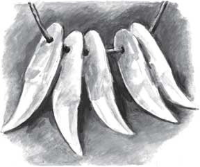 Иллюстрация к книге — Пожар Саниры [i_020.jpg]