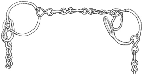 Иллюстрация к книге — Кельты-язычники. Быт, религия, культура [i_013.jpg]