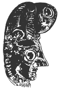 Иллюстрация к книге — Кельты-язычники. Быт, религия, культура [i_061.jpg]