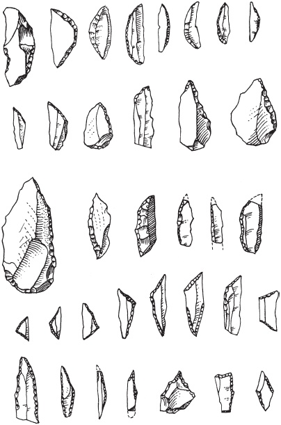 Иллюстрация к книге — Древний Индостан. Раннеиндийская цивилизация [_16.jpg]