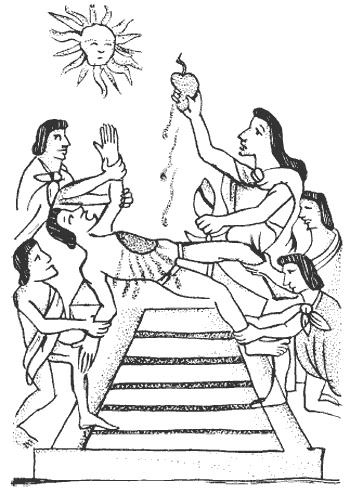 Иллюстрация к книге — Ацтеки. Быт, религия, культура [i_061.jpg]