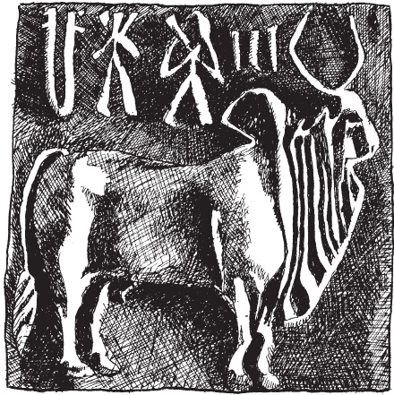 Иллюстрация к книге — Древняя Индия. Быт, религия, культура [i_001.jpg]