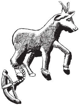 Иллюстрация к книге — Древняя Индия. Быт, религия, культура [i_019.jpg]