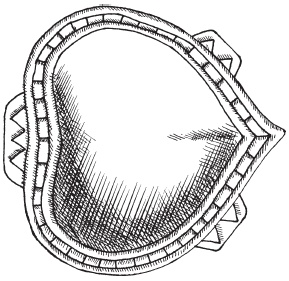 Иллюстрация к книге — Древняя Индия. Быт, религия, культура [i_030.jpg]