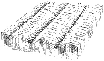 Иллюстрация к книге — Китай династии Хань. Быт, религия, культура [i_062.jpg]