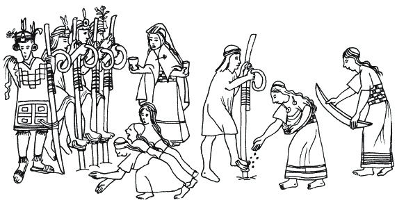 Иллюстрация к книге — Инки. Быт, религия, культура [_170.jpg]