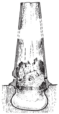 Иллюстрация к книге — Варвары. Древние германцы. Быт, религия, культура [i_057.jpg]