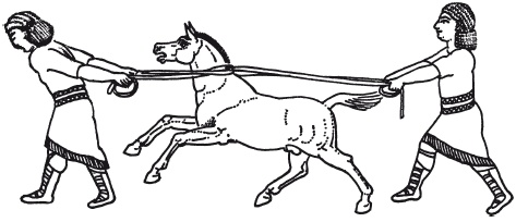 Иллюстрация к книге — Вавилон и Ассирия. Быт, религия, культура [i_062.jpg]