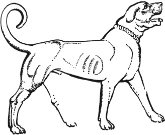 Иллюстрация к книге — Вавилон и Ассирия. Быт, религия, культура [i_097.jpg]