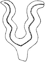 Иллюстрация к книге — Величие Вавилона. История древней цивилизации Междуречья [_11.jpg]