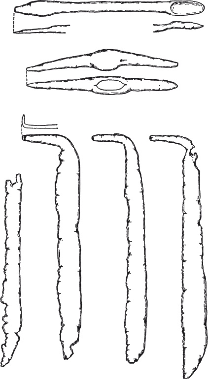 Иллюстрация к книге — Англосаксы. Покорители кельтской Британии [i_013.jpg]