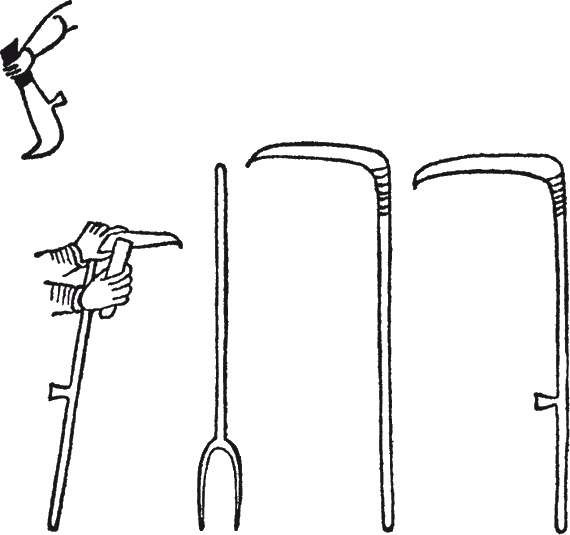 Иллюстрация к книге — Англосаксы. Покорители кельтской Британии [i_015.jpg]