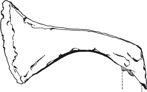 Иллюстрация к книге — Англосаксы. Покорители кельтской Британии [i_031.jpg]