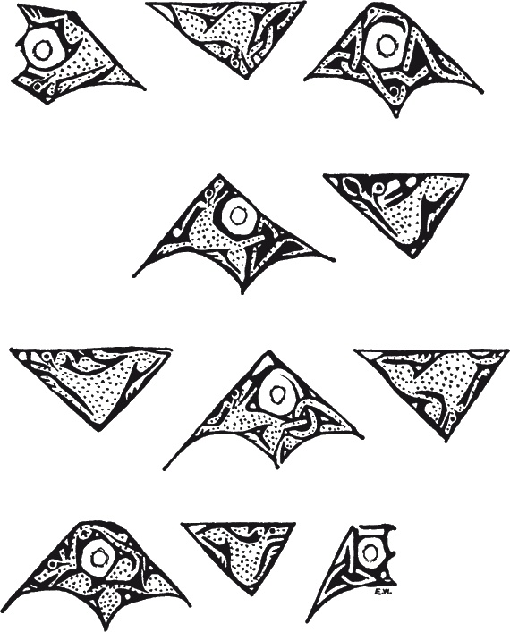 Иллюстрация к книге — Англосаксы. Покорители кельтской Британии [i_038.jpg]