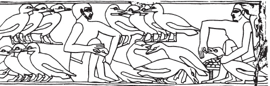 Иллюстрация к книге — Эпоха Рамсесов. Быт, религия, культура [i_016.jpg]