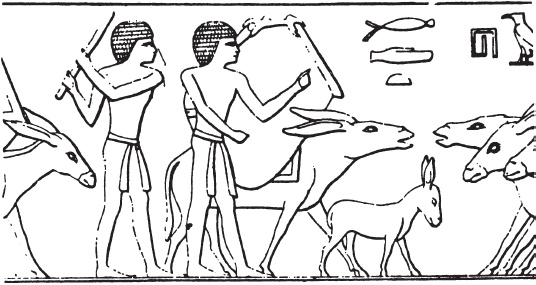 Иллюстрация к книге — Эпоха Рамсесов. Быт, религия, культура [i_025.jpg]