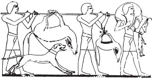 Иллюстрация к книге — Эпоха Рамсесов. Быт, религия, культура [i_031.jpg]