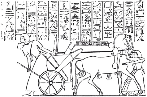 Иллюстрация к книге — Эпоха Рамсесов. Быт, религия, культура [i_055.jpg]