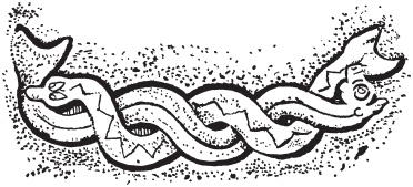 Иллюстрация к книге — Пикты. Таинственные воины древней Шотландии [_26.jpg]