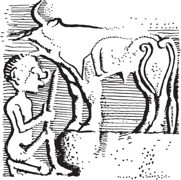 Иллюстрация к книге — Пикты. Таинственные воины древней Шотландии [_31.jpg]