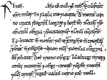 Иллюстрация к книге — Пикты. Таинственные воины древней Шотландии [_40.jpg]