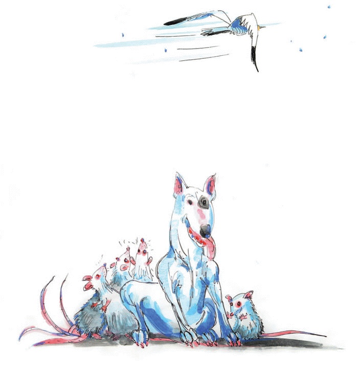 Иллюстрация к книге — Другая дорога [i_001.jpg]