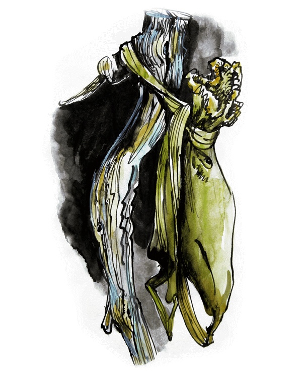 Иллюстрация к книге — Другая дорога [i_016.jpg]