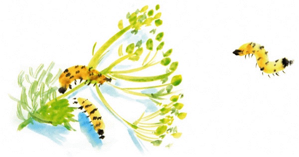 Иллюстрация к книге — Другая дорога [i_036.jpg]