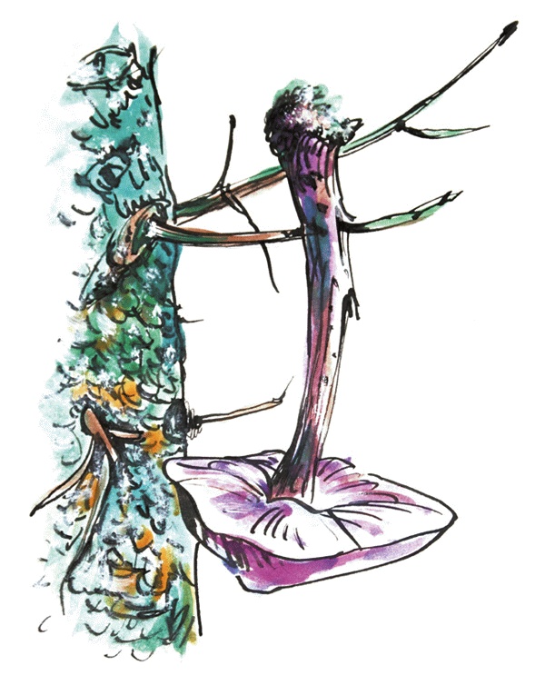 Иллюстрация к книге — Другая дорога [i_045.jpg]