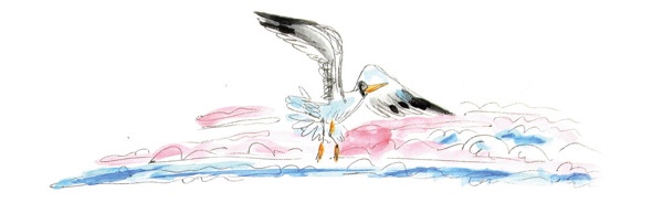 Иллюстрация к книге — Другая дорога [i_058.jpg]