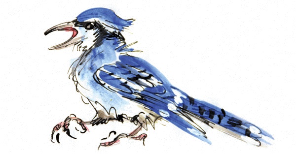 Иллюстрация к книге — Другая дорога [i_061.jpg]