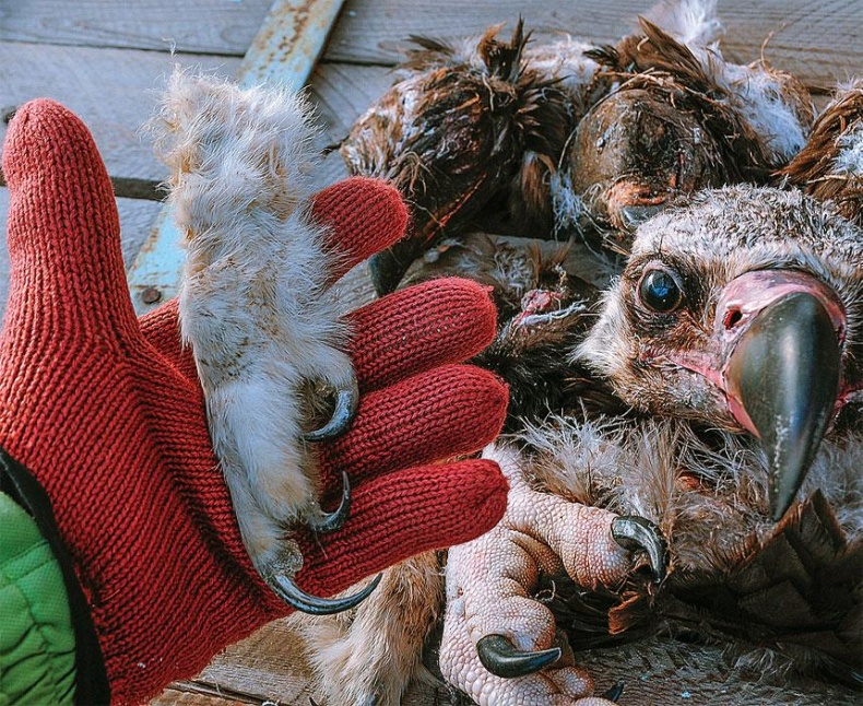 Иллюстрация к книге — Рома едет. Вокруг света без гроша в кармане [_50.jpg]