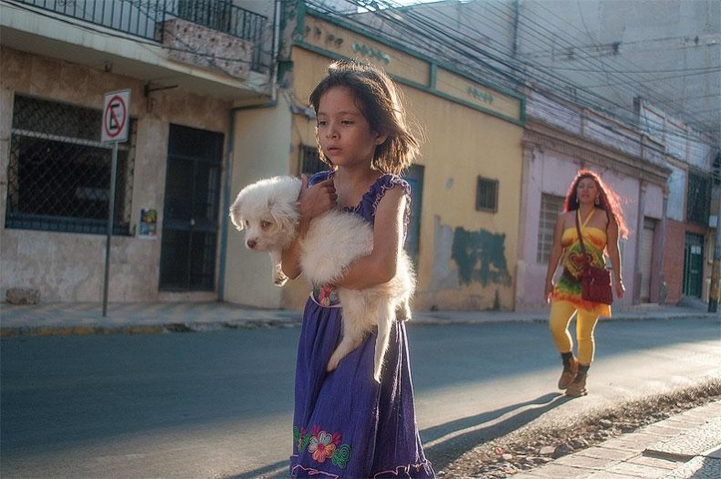 Иллюстрация к книге — Рома едет. Вокруг света без гроша в кармане [_93.jpg]