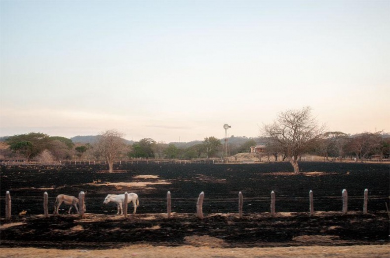 Иллюстрация к книге — Рома едет. Вокруг света без гроша в кармане [_95.jpg]