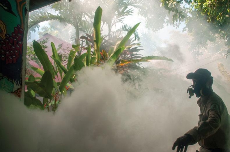 Иллюстрация к книге — Рома едет. Вокруг света без гроша в кармане [_98.jpg]