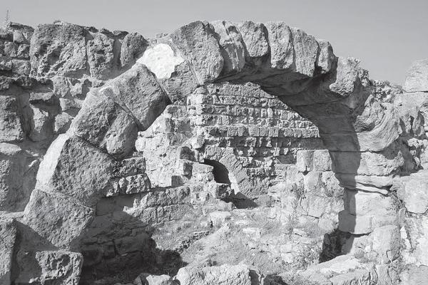 Иллюстрация к книге — Париж от Цезаря до Людовика Святого. Истоки и берега [_102.jpg]