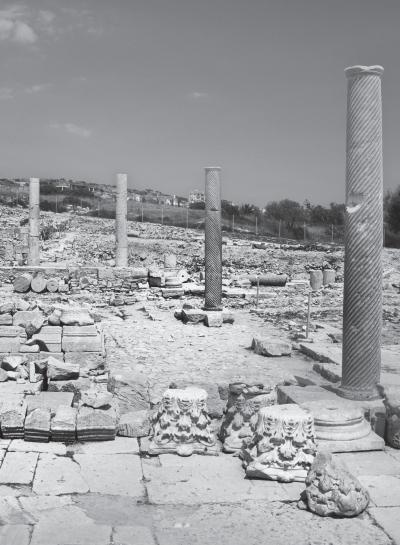 Иллюстрация к книге — Париж от Цезаря до Людовика Святого. Истоки и берега [_98.jpg]