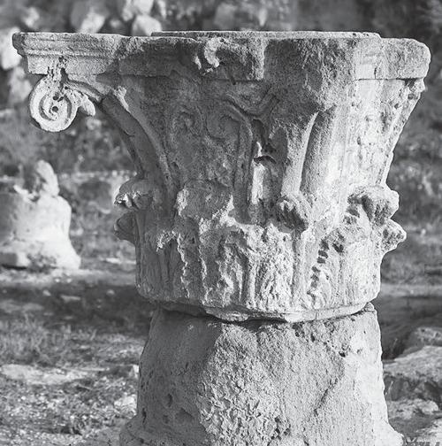 Иллюстрация к книге — Париж от Цезаря до Людовика Святого. Истоки и берега [_99.jpg]