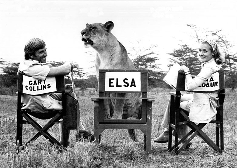 Иллюстрация к книге — Северный Часовой и другие сюжеты [i_037.jpg]