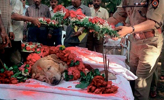 Иллюстрация к книге — Северный Часовой и другие сюжеты [i_161.jpg]