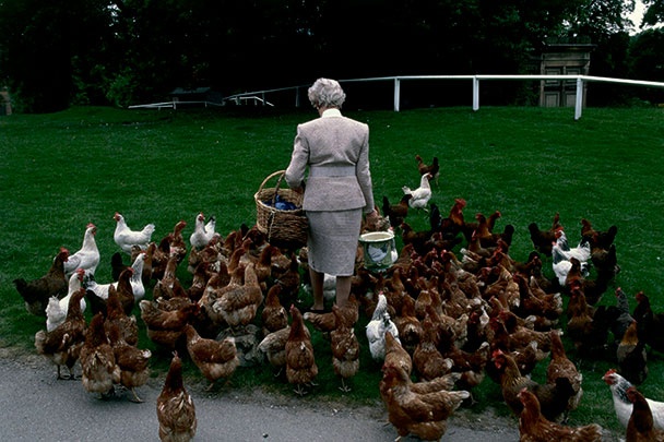 Иллюстрация к книге — Северный Часовой и другие сюжеты [i_215.jpg]