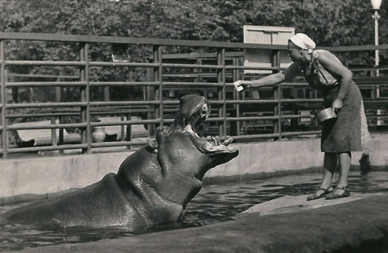 Иллюстрация к книге — Северный Часовой и другие сюжеты [i_237.jpg]