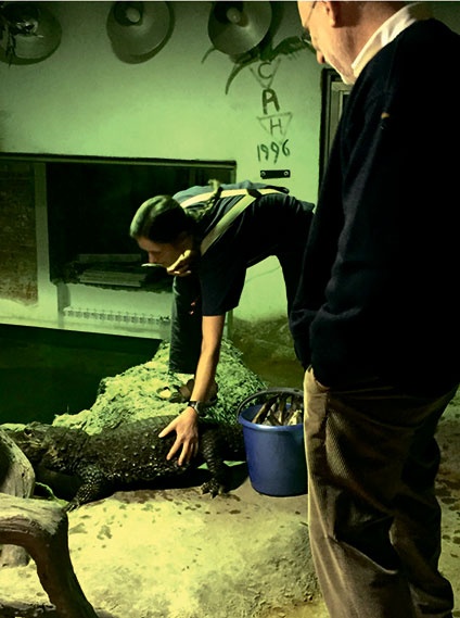 Иллюстрация к книге — Северный Часовой и другие сюжеты [i_240.jpg]