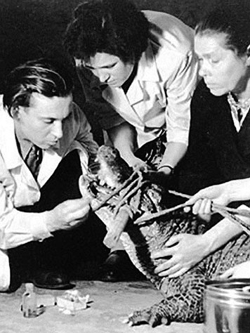 Иллюстрация к книге — Северный Часовой и другие сюжеты [i_242.jpg]