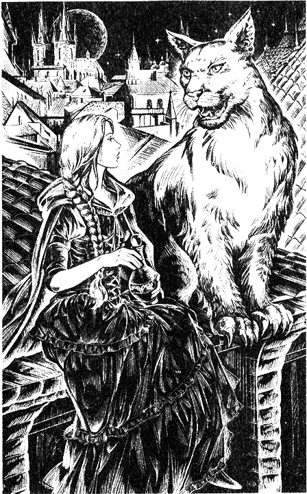 Иллюстрация к книге — Магическая академия. Достать василиска! [i_001.jpg]