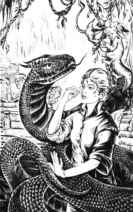 Иллюстрация к книге — Магическая академия. Достать василиска! [i_006.jpg]