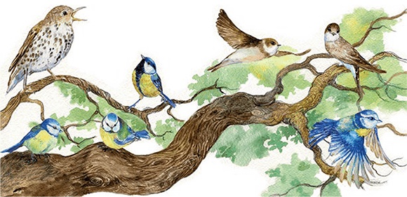 Иллюстрация к книге — Яблочная сказка [i_004.jpg]