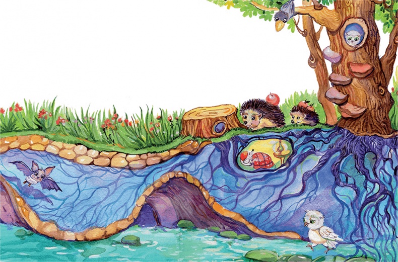 Иллюстрация к книге — Родники [i_005.jpg]